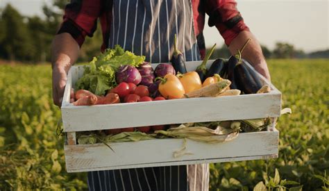 elm city market new haven|Fresh and Organic .